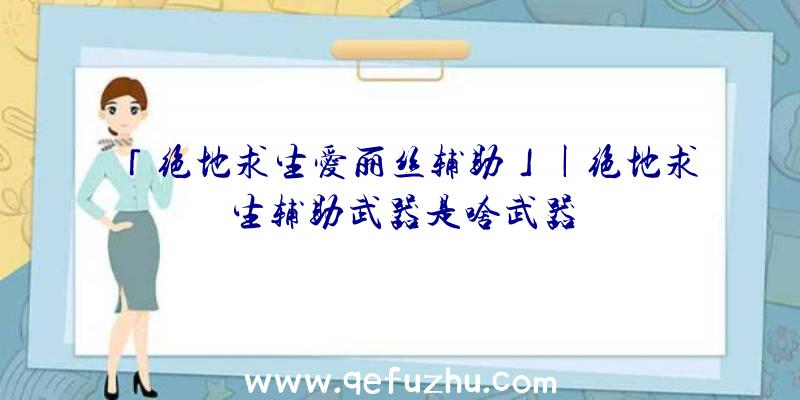 「绝地求生爱丽丝辅助」|绝地求生辅助武器是啥武器